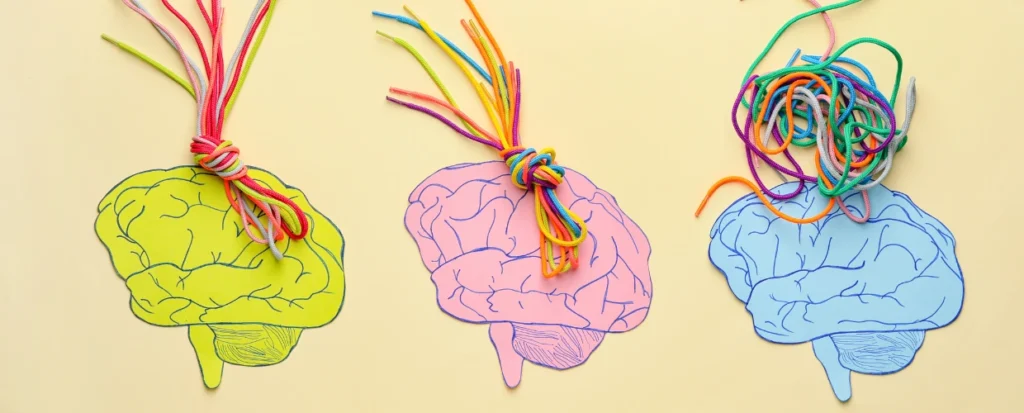 Neurocezione cervello | Marco Paret